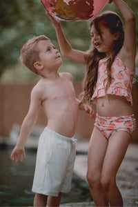 Sol Swim Shorts