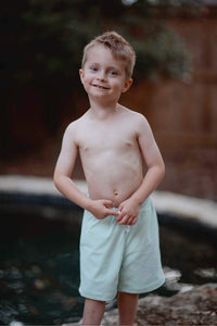 Sol Swim Shorts