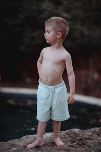 Sol Swim Shorts