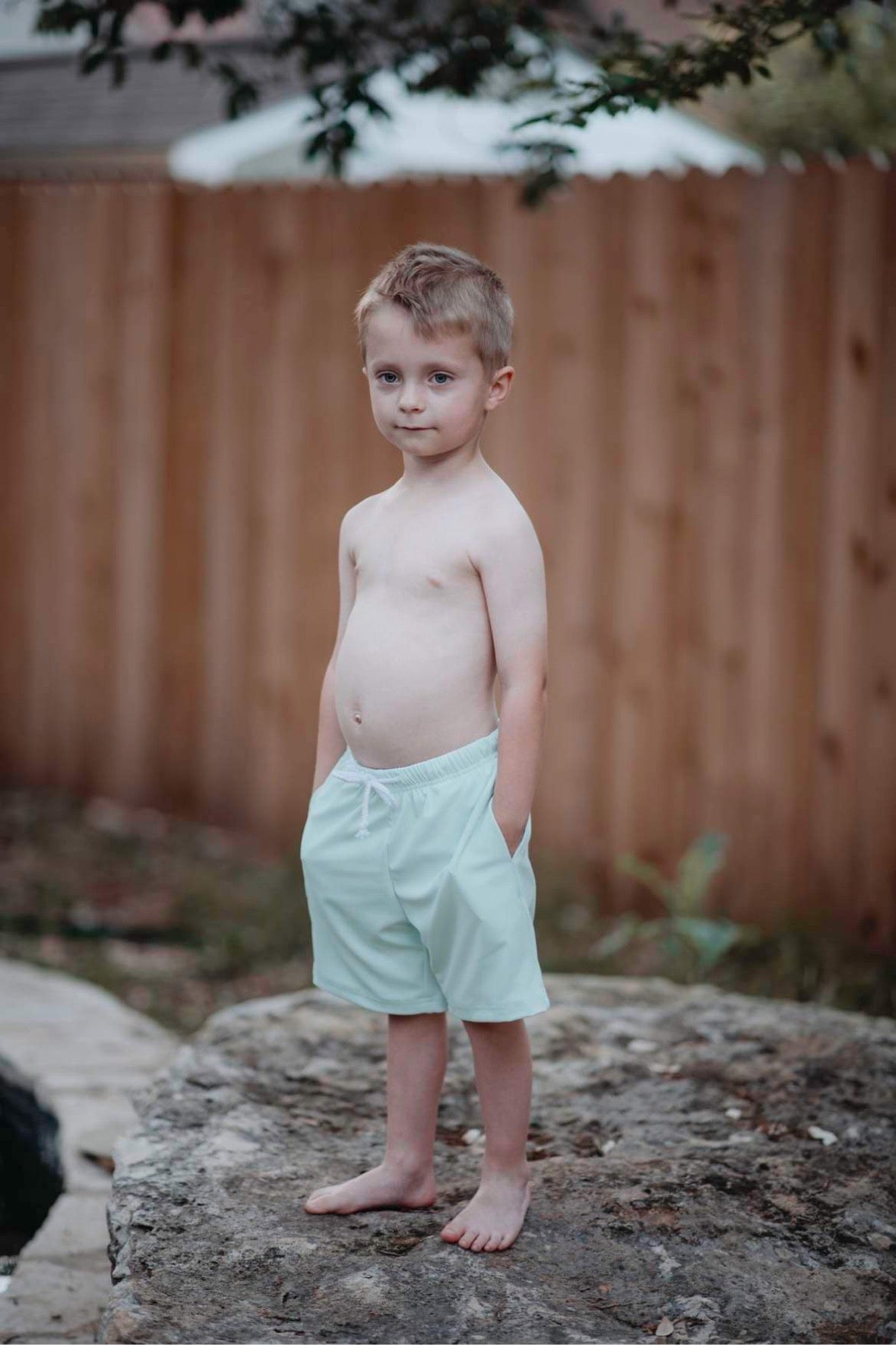 Sol Swim Shorts