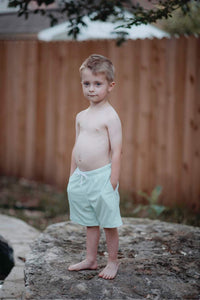 Sol Swim Shorts