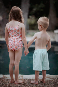 Sol Swim Shorts