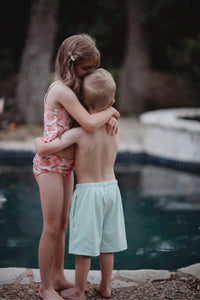 Sol Swim Shorts