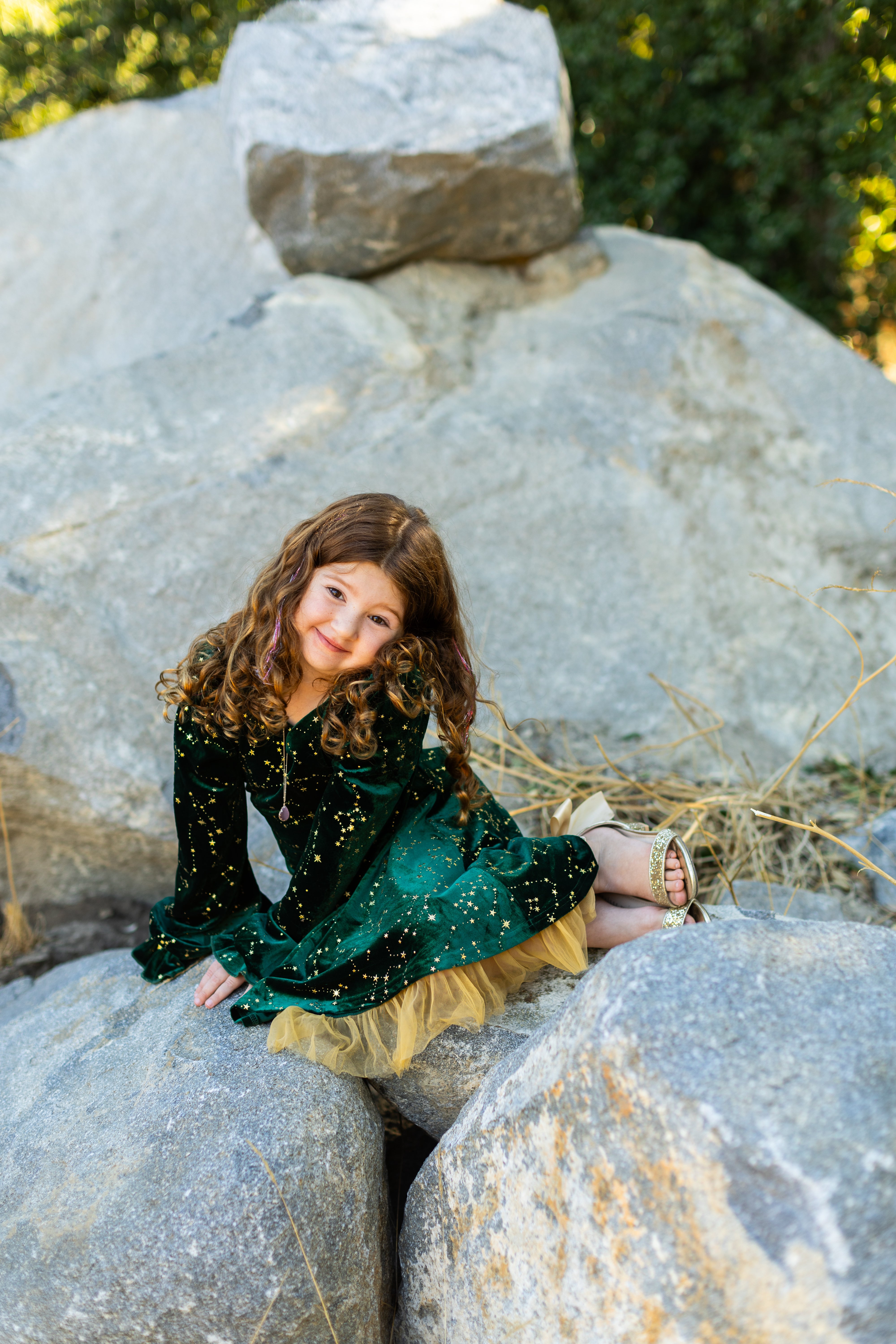 Holiday Sparkles Dress