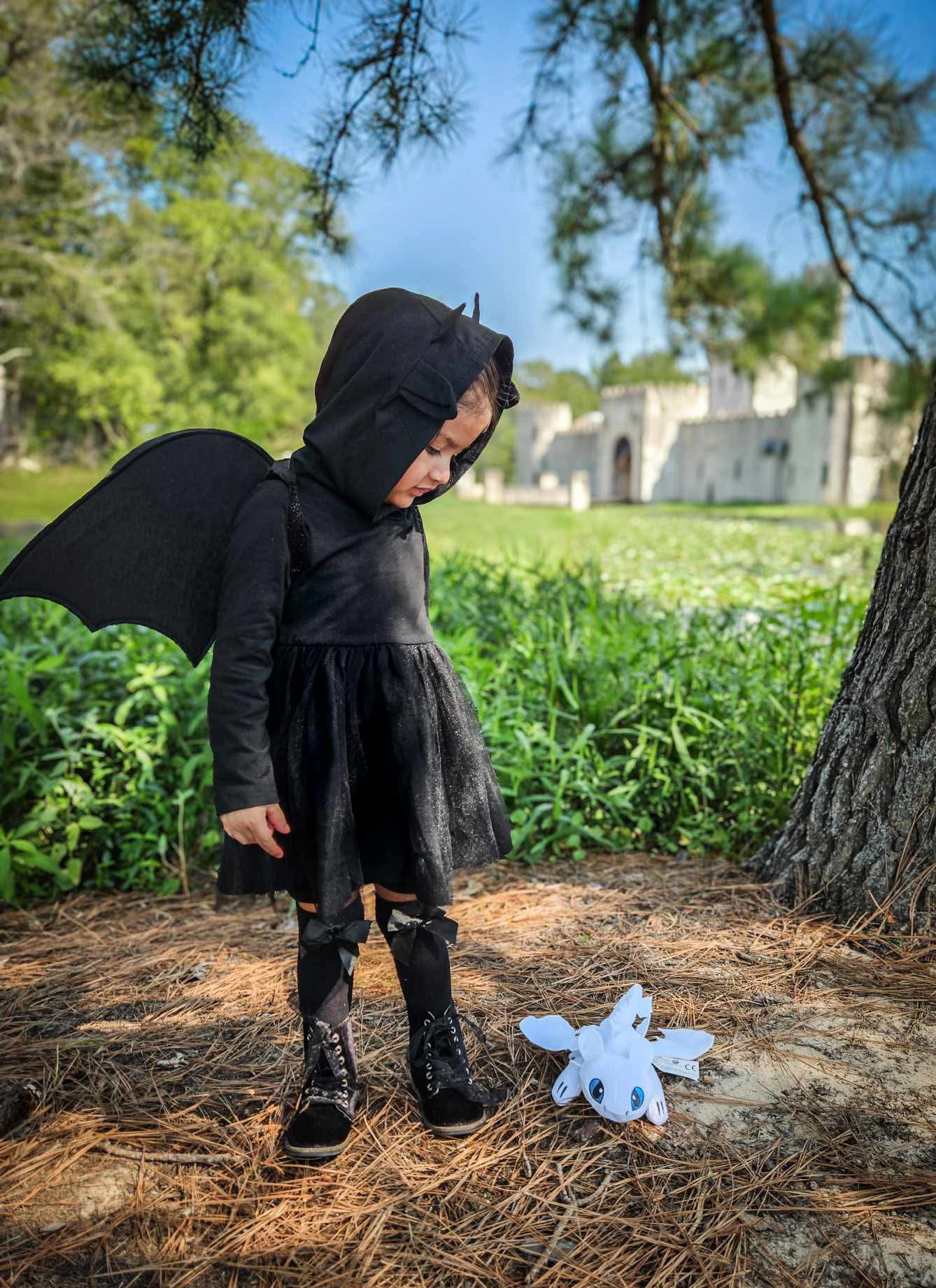 Dragon in Training Dress